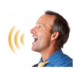 Voice Recognition